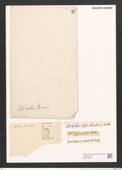 Nitzschia jelineckii Grun. (de-Toni-Nr.: Genus 47, Species 2025) Zeichnungen Sammlung Grunow (NHMW-BOT-W0371800)